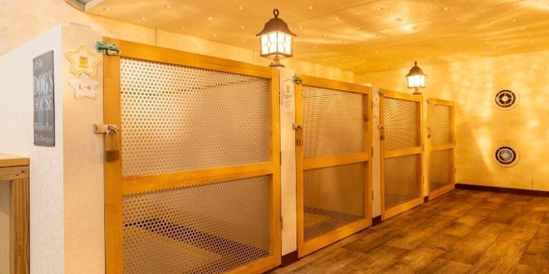 ワンちゃん専用宿泊施設